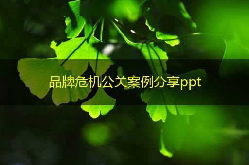 淮滨品牌危机公关案例分享ppt