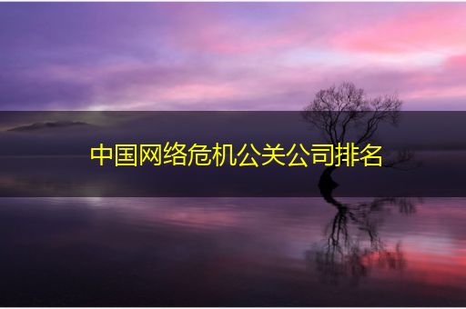 南漳中国网络危机公关公司排名