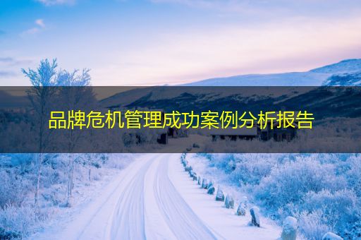 荆州品牌危机管理成功案例分析报告