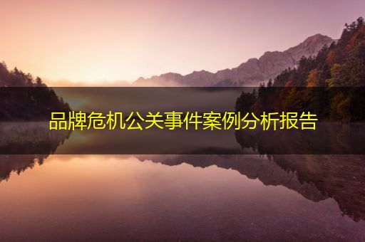 芜湖品牌危机公关事件案例分析报告