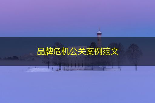 宁津品牌危机公关案例范文