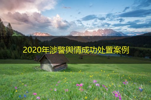 武义县2020年涉警舆情成功处置案例