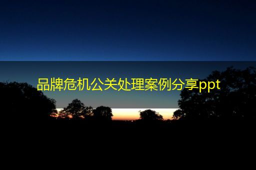 青州品牌危机公关处理案例分享ppt